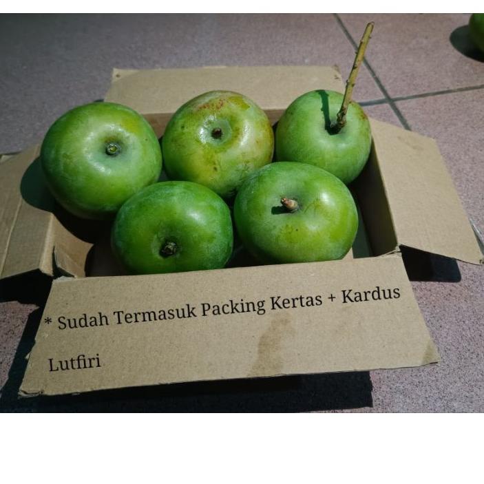 Jual Brands Festival Mangga Apel Mentah 1 Kilogram Rasa Masam Asam