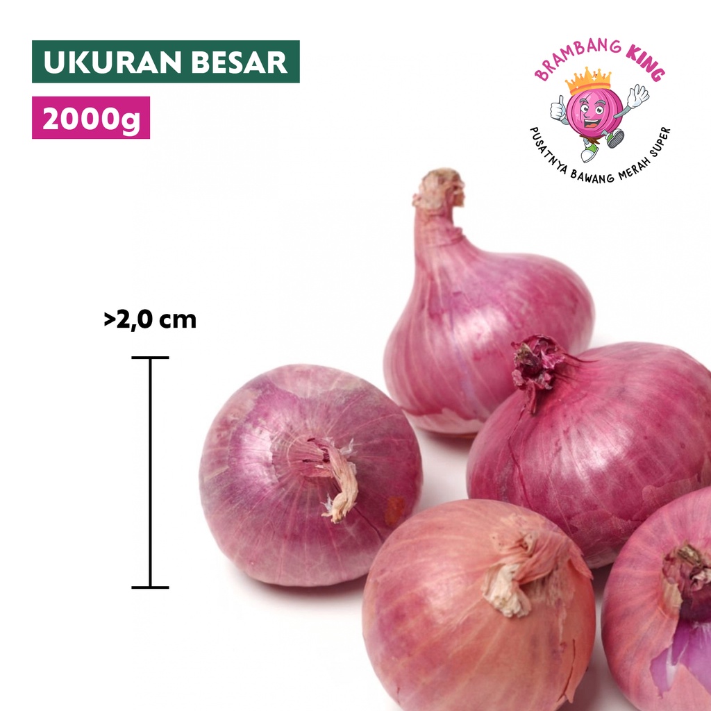 

Bawang Merah Ukuran Sedang KUALITAS SUPER 2kg