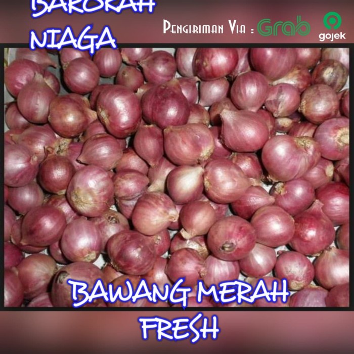 

Bawang Bawang Merah Fresh Harga Perkilo Gram