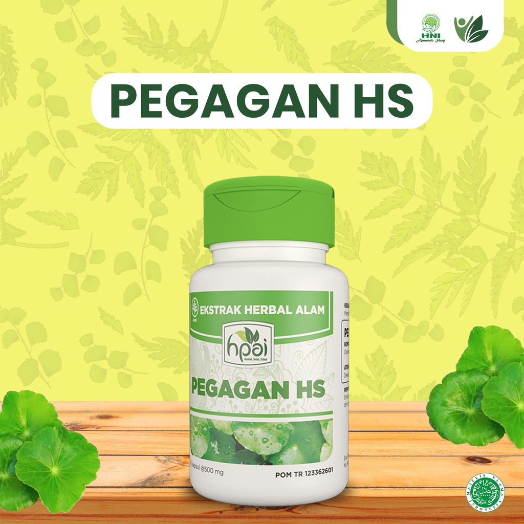 Pegagan HS HNI HPAI