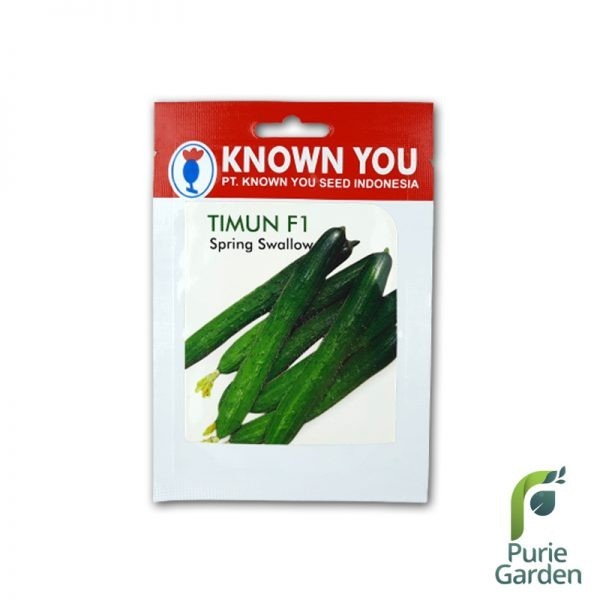 CUCI GUDANG Bibit Benih Timun Cucumber Spring Swallow Known You 26 Benih PG KDR