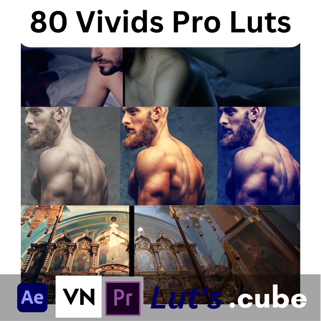 40 VIVID PRO LUTs (Bisa VN/Ae/Pr dll)