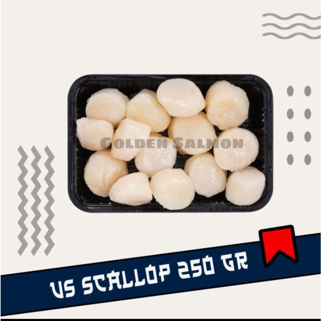 

US Scallop USA Scallop 250 gr import