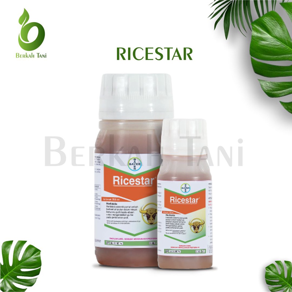 HERBISIDA SISTEMIK PURNA TUMBUH RICESTAR 69 EC - 100 ML