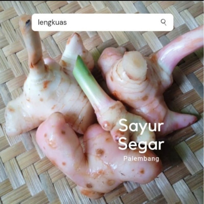 

Lengkuas 250 Gr Sayur Segar Palembang