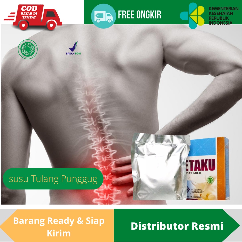 WALATRA SUSU KAMBING ETAKU Untuk Sakit Tulang Punggung, Susu Herbal Tulang Rusuk, Susu Untuk Tulang 