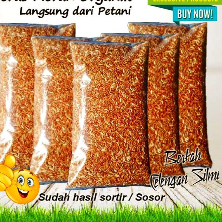 

(Terbaik) Beras Merah Sosoh Organik untuk Diet, Diabetes, dan MPASI 1kg