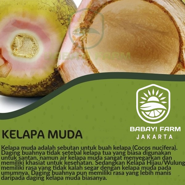 

Buah kelapa muda / degan muda