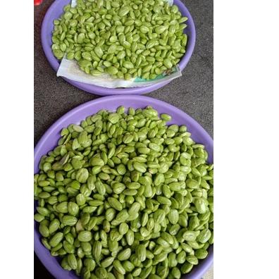 

Limited ✅⭐ PROMO Pete Kupas TIDAK COD