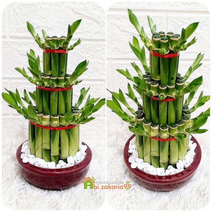 

(COD) PAKET HAMPERS SINCIA / IMLEK KOMPLIT BAMBU HOKI PAGODA + VAS KERAMIK - PAGODA 3:2O CM