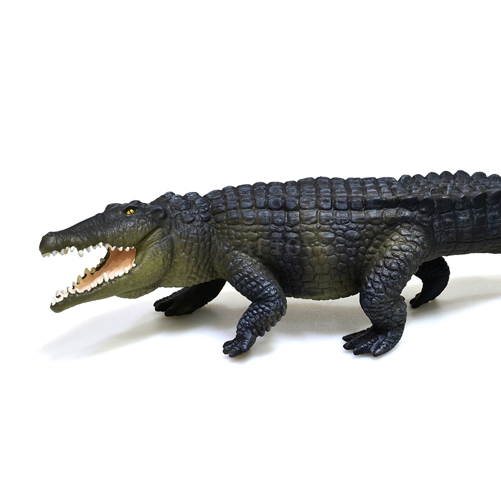 Mainan miniatur Buaya Air Asin Saltwater Crocodile Safari 30 cm mainan edukatif edukasi