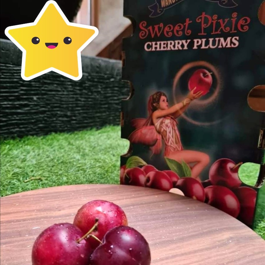 Buah Ceri Plum Segar AUSTRALIA Cherry Plum Wandin Valley PREMIUM 1 dus 2 kg