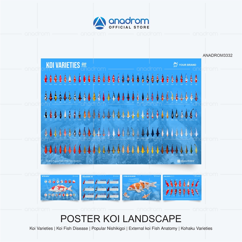 

Poster & Stiker Ikan Koi Landscape I Poster Koi Varieties | Poster Koi Fish Disease | Poster External Koi Fish Anatomy | Poster Kohaku Varieties | Size A3 31x47 cm I Anadrom 3332