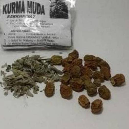 

☆ Kurma Muda Kering Plus Daun Marmia ✭
