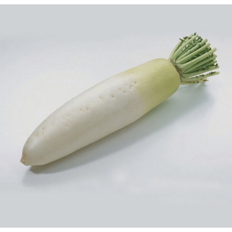 

Lobak White 1kg