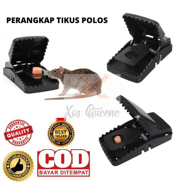 XOQ - Perangkap Tikus Polos Super Strong Double Spring / Jebakan Tikus / Pembasmi Tikus / Hama Tikus