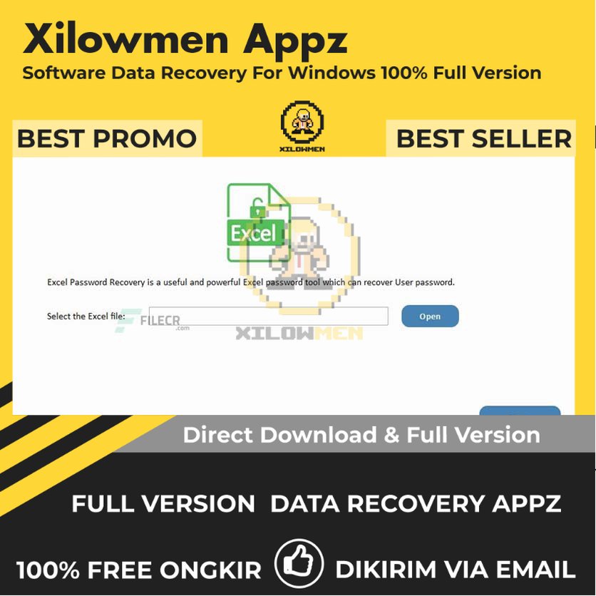 [Full Version] Any Excel Password Recovery Pro Lifetime Data Recovery WIN OS