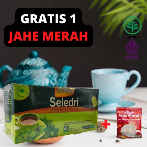 

Obat Herbal Teh Celup Herbal Seledri bermanfaat untuk mengobati darah tinggi