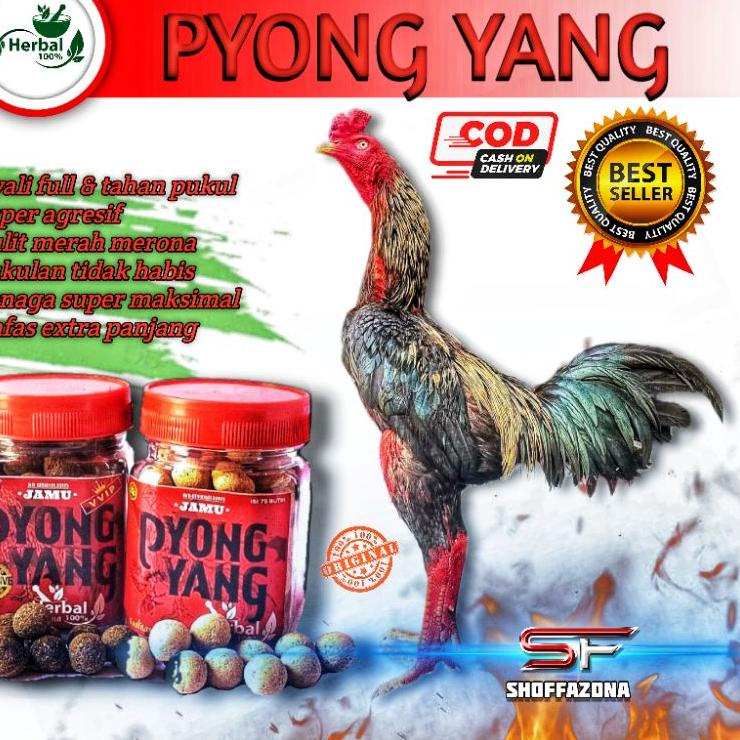 ⚡GROSIR⚡ Pyongyang Jamu Ayam Aduan Kuat Nafas Dan Tenaga Doping Ayam Aduan