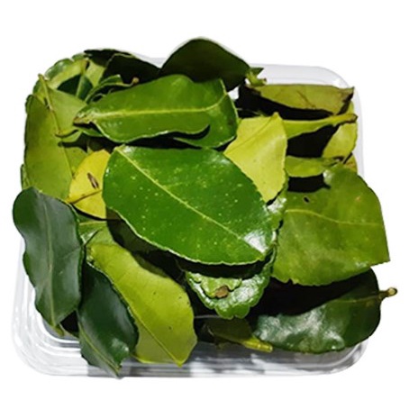 

daun jeruk fresh dari pohon