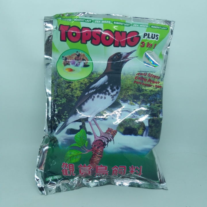 TOPSONG RUMPUT LAUT PAKAN BURUNG UNTUK BURUNG MURAI KACER KICAU