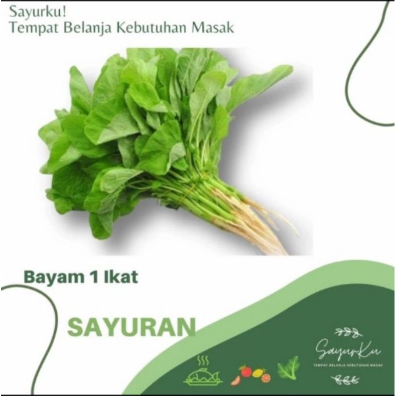 

sayur bayam per ikat
