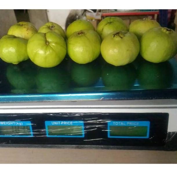 

Y24 Jambu KristaL mini SUPER LARIS ㊮