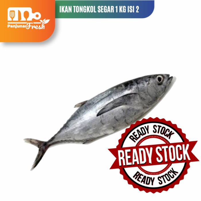 

IKAN TONGKOL / CAKALANG SEGAR FRESH 1 KG ISI 2 EKOR