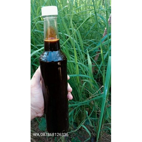

Madu klenceng