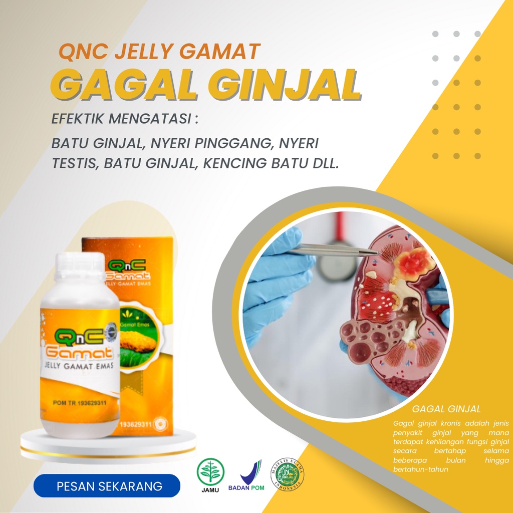 Jual Obat Ginjal Herbal - Gagal Ginjal Akut Kronis - Sakit Pinggang ...