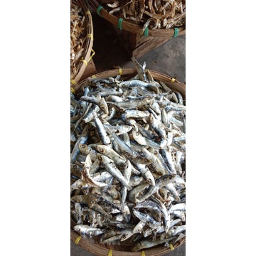 

IKAN ASIN REBUS 500gr IKAN ASIN