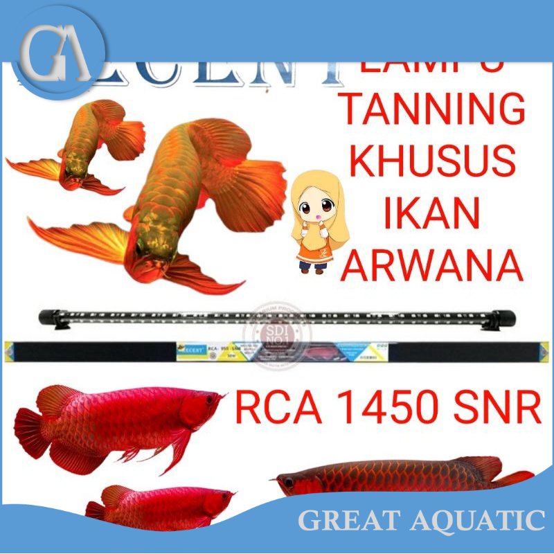 LAMPU TANNING AQUARIUM RECENT RCA 1450 SNR