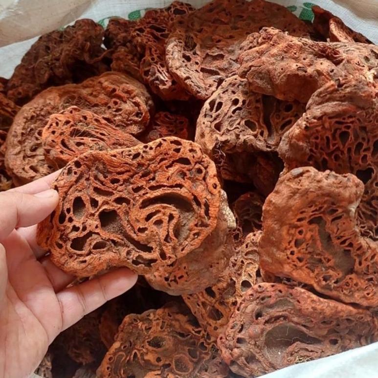 

J37 Sarang Semut Papua Asli 500gr HOT PRODUCT ↺