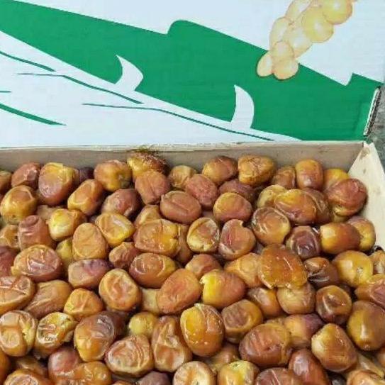 

☼ Kurma Sukari Al Qaseem 3KG || Kurma Sukkari Al Qassim Produk dengan kode merek NR, HC, MR adalah SAMA ➤