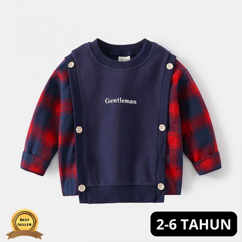 Sweater Anak Laki Laki Impor Navy Kotak Kotak Merah Usia 2-6 Tahun Atasan Anak Cowok Panjang