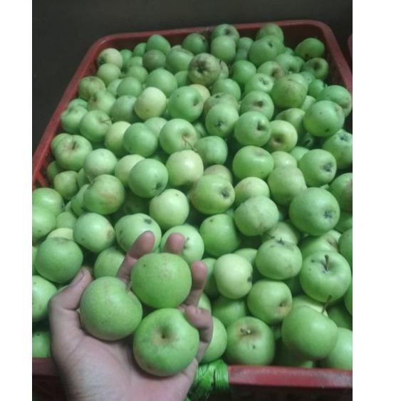 

K34 Buah apel mini manalagi batu malang 1 kg PROMO ヂ