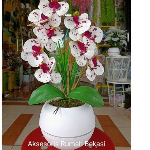 ✱ Bunga anggrek LATEX artificial 2 cabang dengan pot bola ➥
