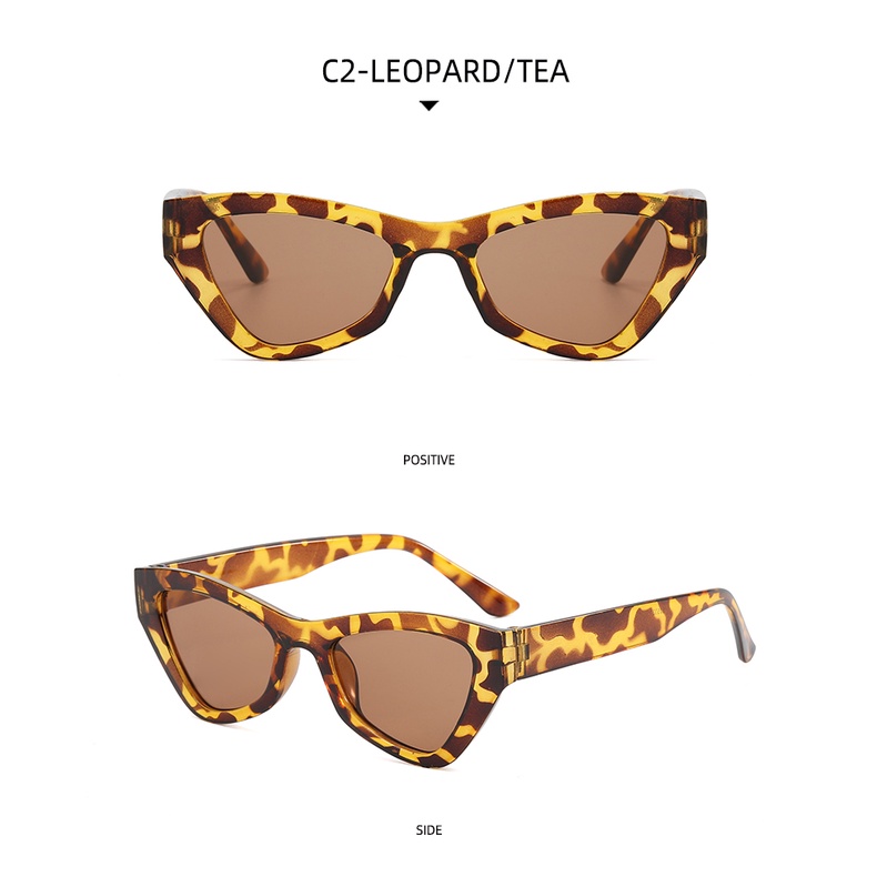 Eropa Dan Amerika ins cat eye leopard print Kacamata fashion hip-hop Korea