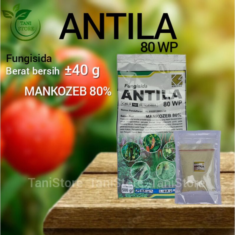 Fungisida ANTILA 80WP (40 Gram)