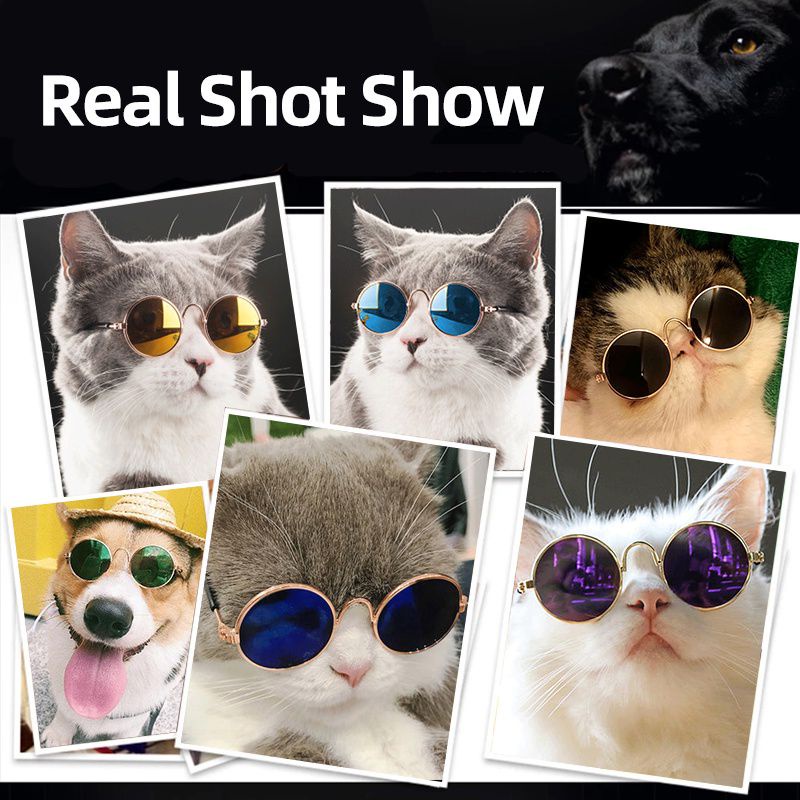 TGM -  Kacamata Kucing Keren Lucu Kaca Mata Kucing Anjing Cosplay Aksesoris Hewan Peliharaan Pet Properti Alat Peraga Foto Kucing