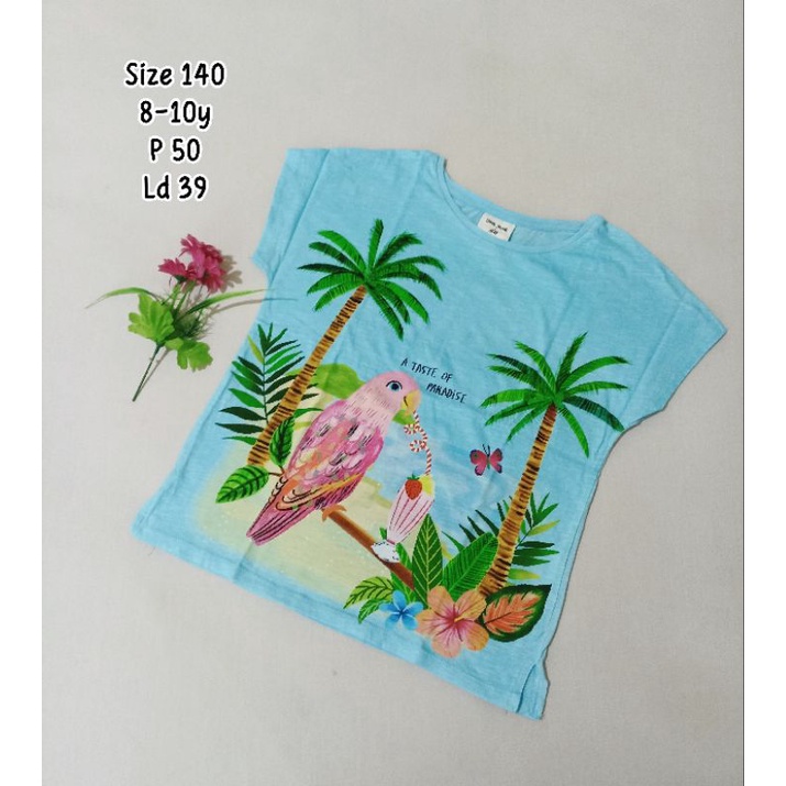 [PRELOVED] - Kaos Anak Perempuan Tee girl T-shirt anak cewek anak tanggung remaja 7-8-9 tahun motif 