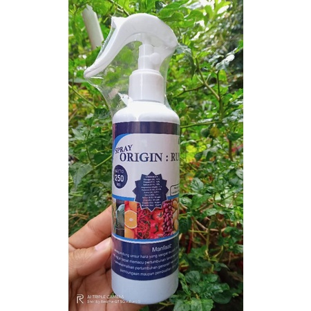 pupuk pelebat buah Origin Rusia Spray 250ML