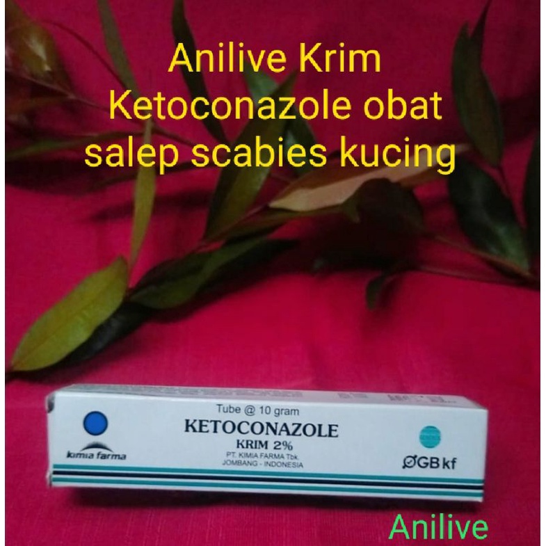 Anilive Obat jamur kucing obat jamur hewan Ketokonazole Cream