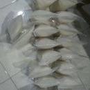 

❊ Vital Wheat Gluten 1000 gr ❅