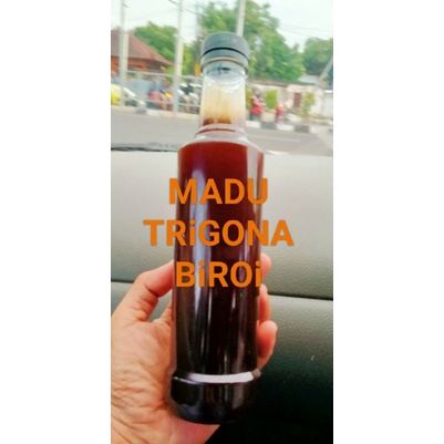 

madu trigona biroi