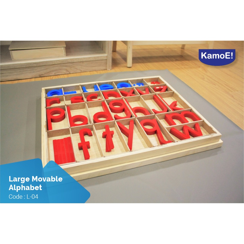 Large Movable Alphabet Montessori Material