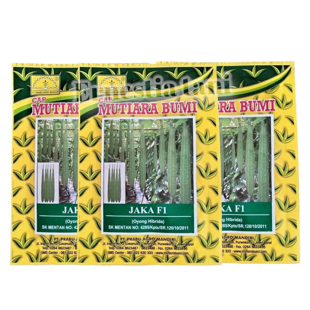 Benih Bibit JAKA F1 10gr Oyong Gambas Hibrida Cap MUTIARA BUMI