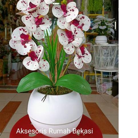✺ Bunga anggrek LATEX artificial 2 cabang dengan pot bola ▲