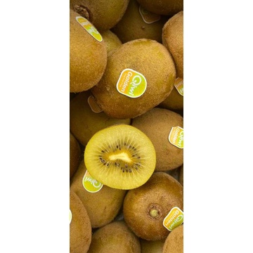 

kiwi gold