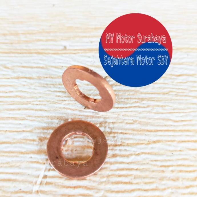 TERLARIS Seal Oring Injector Chevrolet Captiva Diesel C100 NFL / Spin Diesel ,